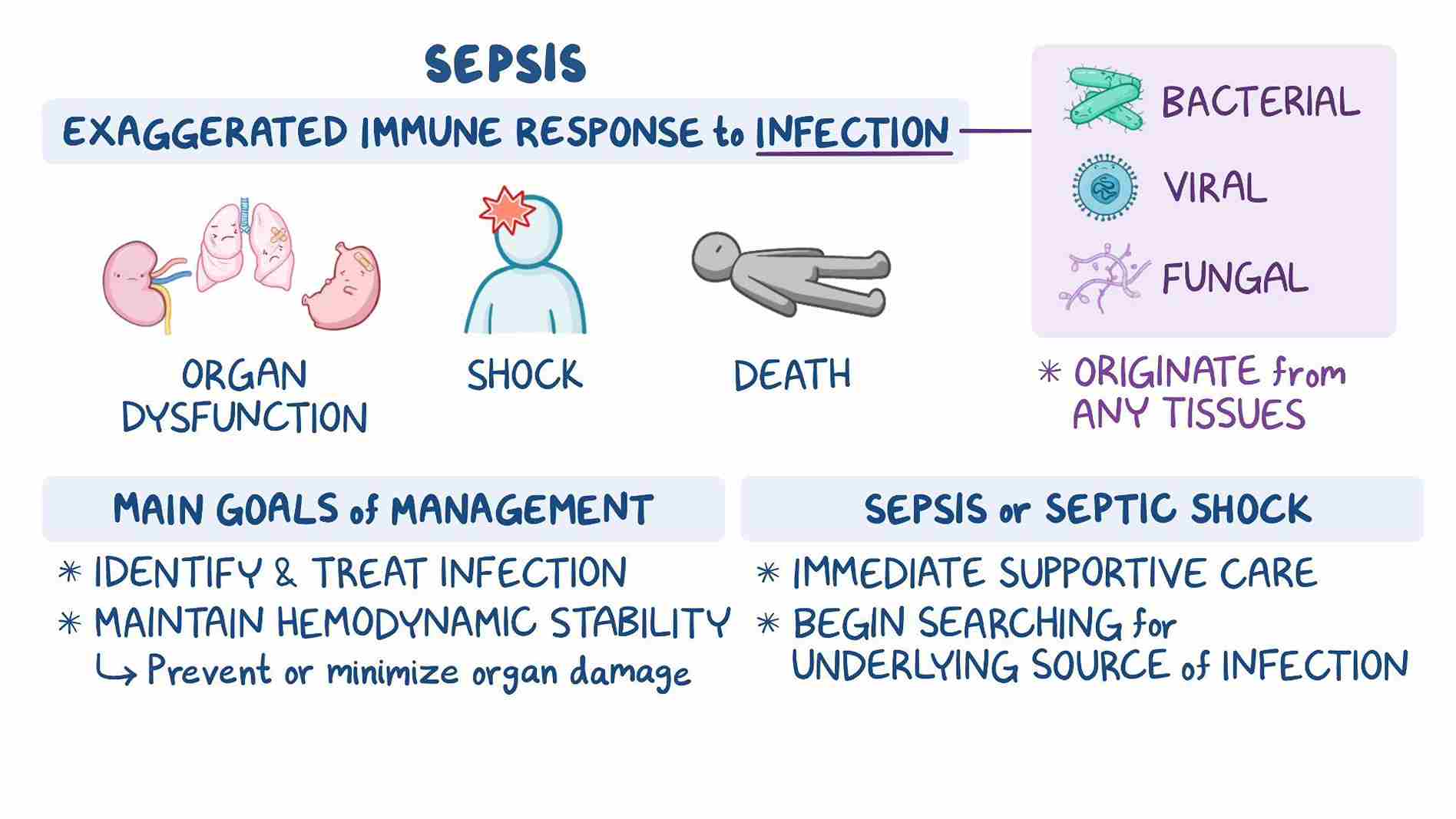 Sepsis NCLEX questions
