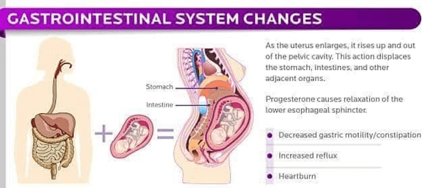 Gastro Intestinal System Changes