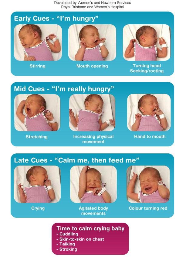 Infant Feeding Ques