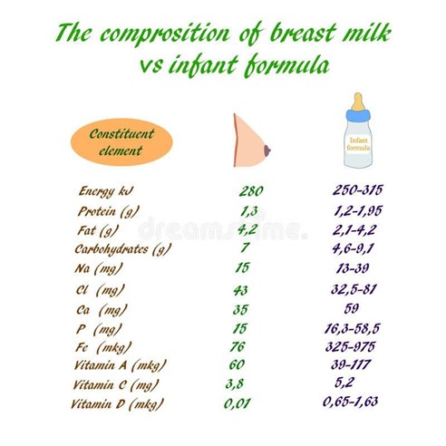 Infant Formula